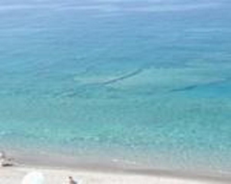 Terrazza Sul Mare Gioiosa Marea Exterior foto